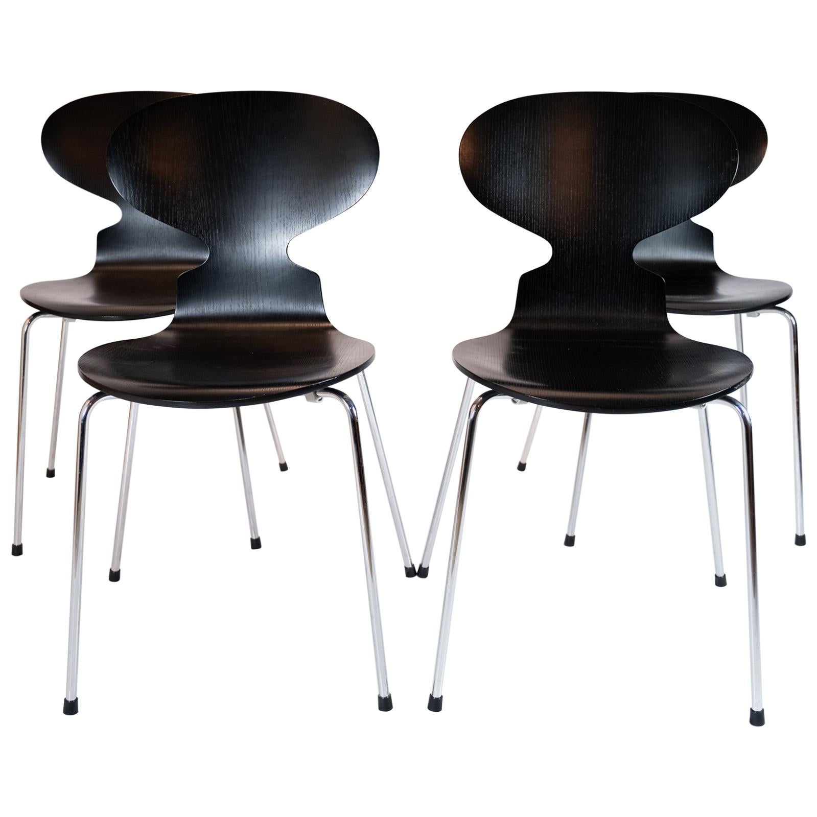 Ensemble de quatre chaises Antes noires, modèle 3101, conçues par Arne Jacobsen en 1952