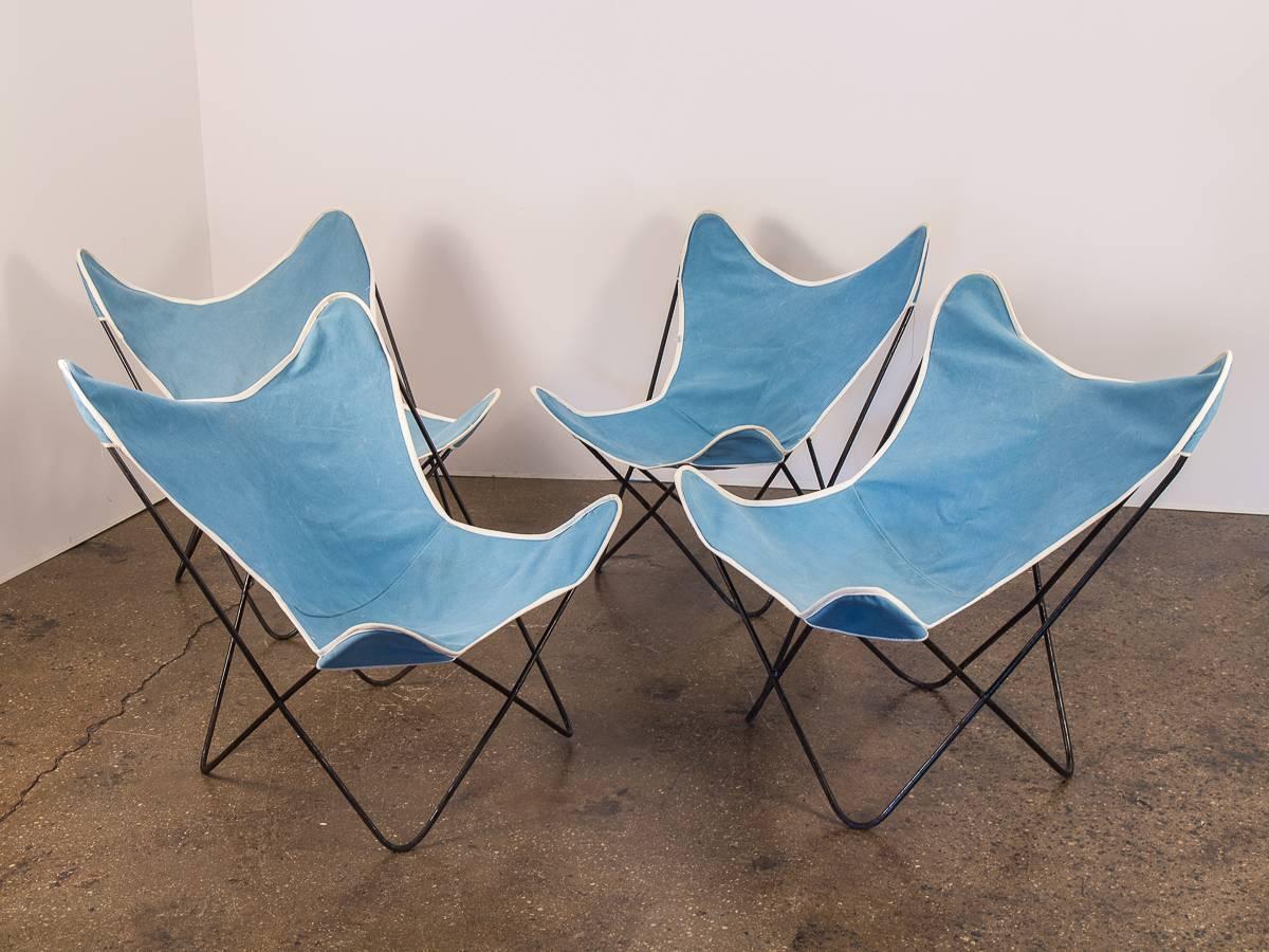 Set of four vintage Hardoy Butterfly chairs for Knoll. This fun patio set has French blue canvas slings that are in good vintage condition, with mild age-appropriate wear. The canvas has good age with some faded spots, but still owns an overall