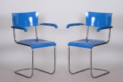 Satz von vier blauen restaurierten Buchensesseln von Mart Stam, Deutschland, 1930er Jahre