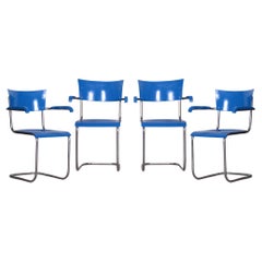 Juego de cuatro sillones de haya azul restaurada de Mart Stam, Alemania, años 30