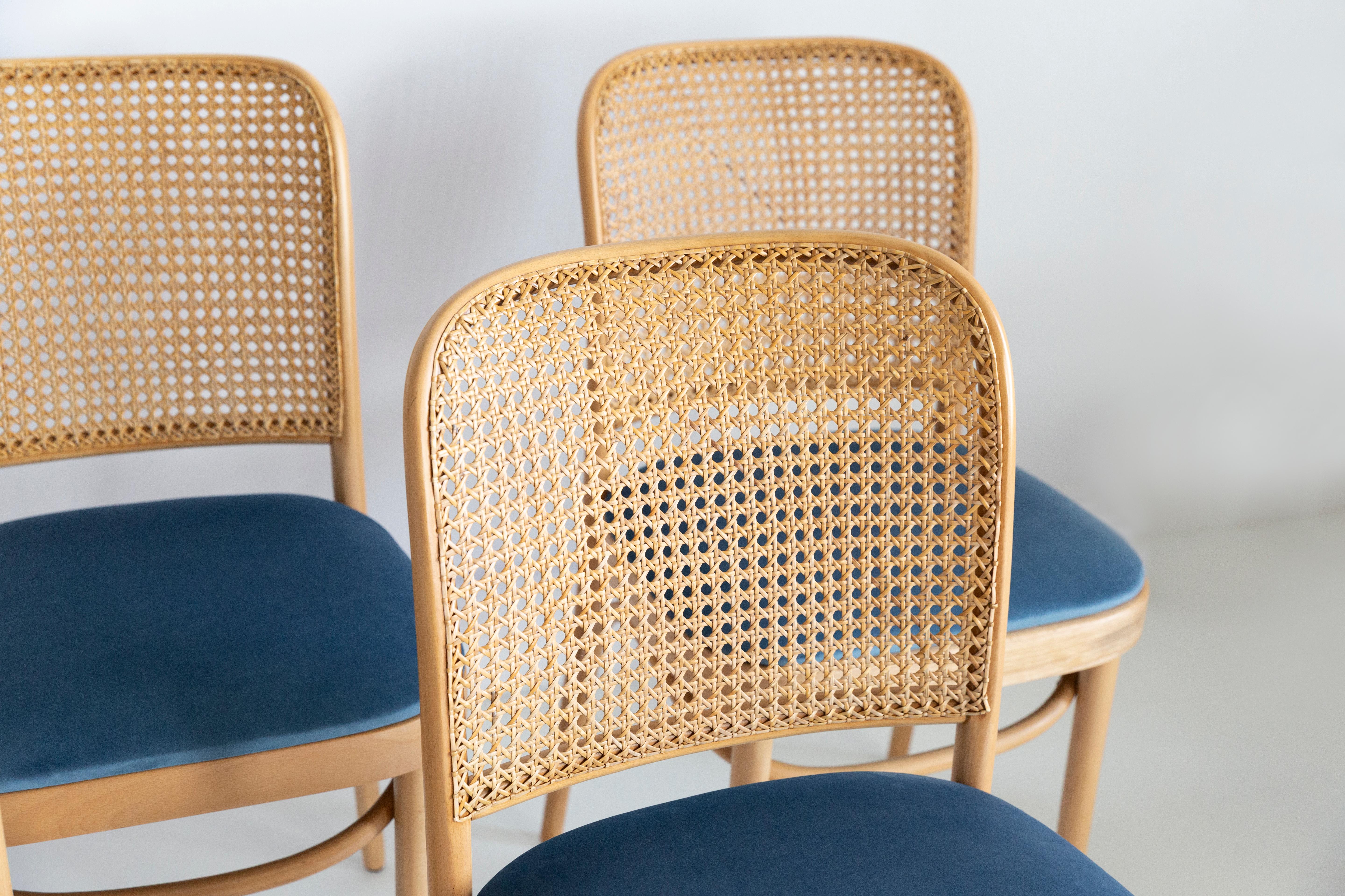 Set of Four Blue Velvet Thonet Wood Rattan Chairs, 1960s For Sale 1