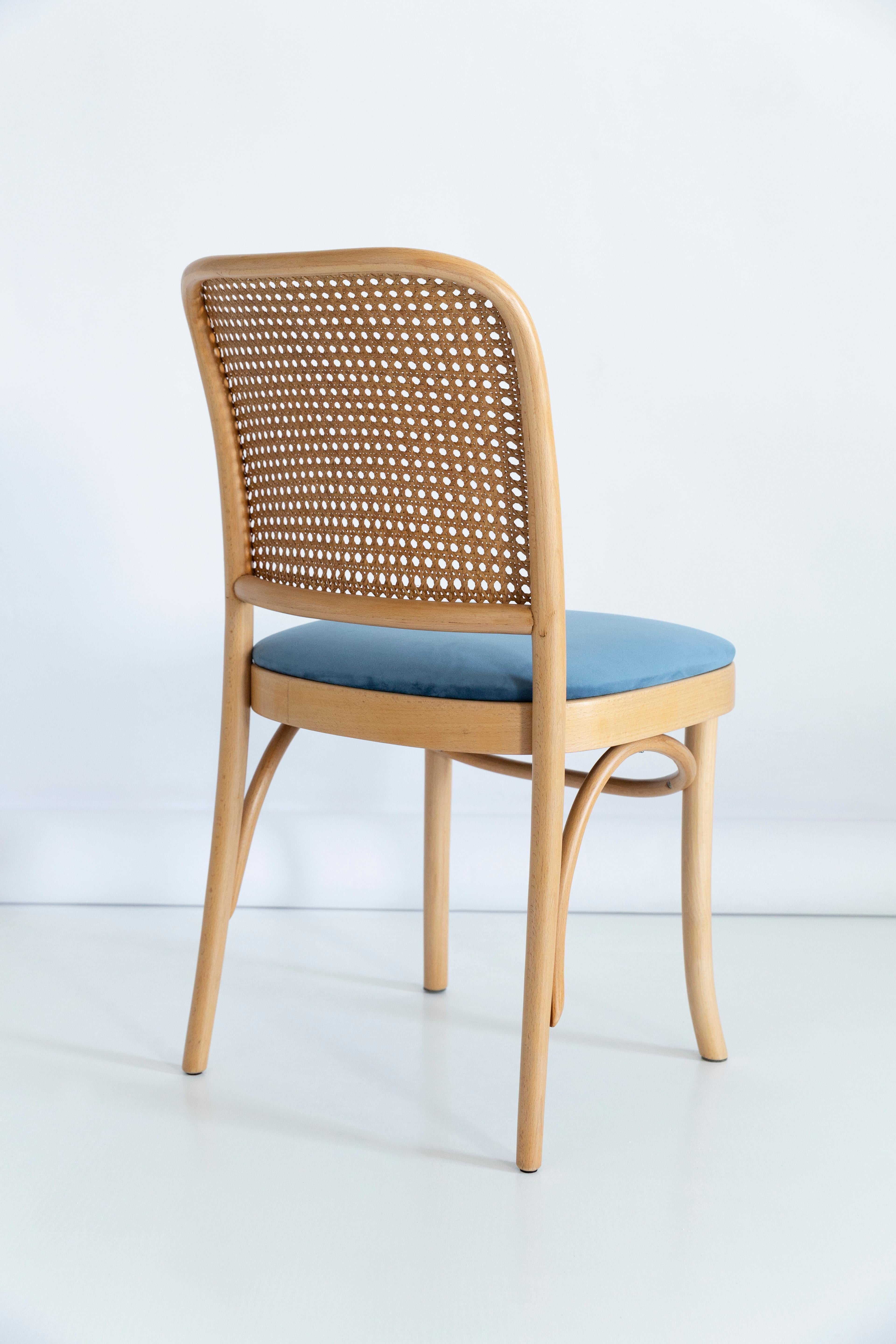 Set of Four Blue Velvet Thonet Wood Rattan Chairs, 1960s For Sale 4