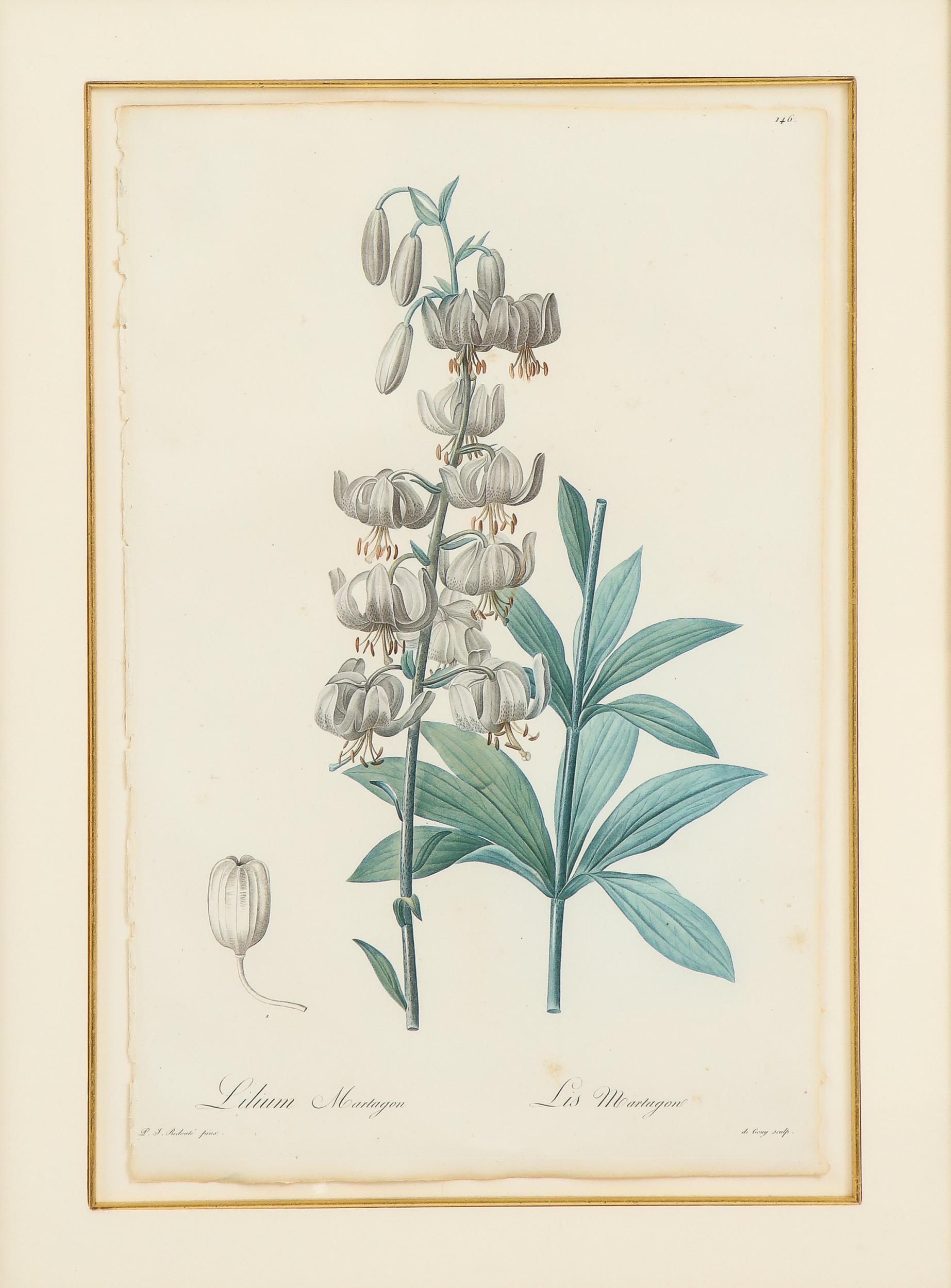 Set of Four Botanical Prints by Pierre-Joseph Redoute 4