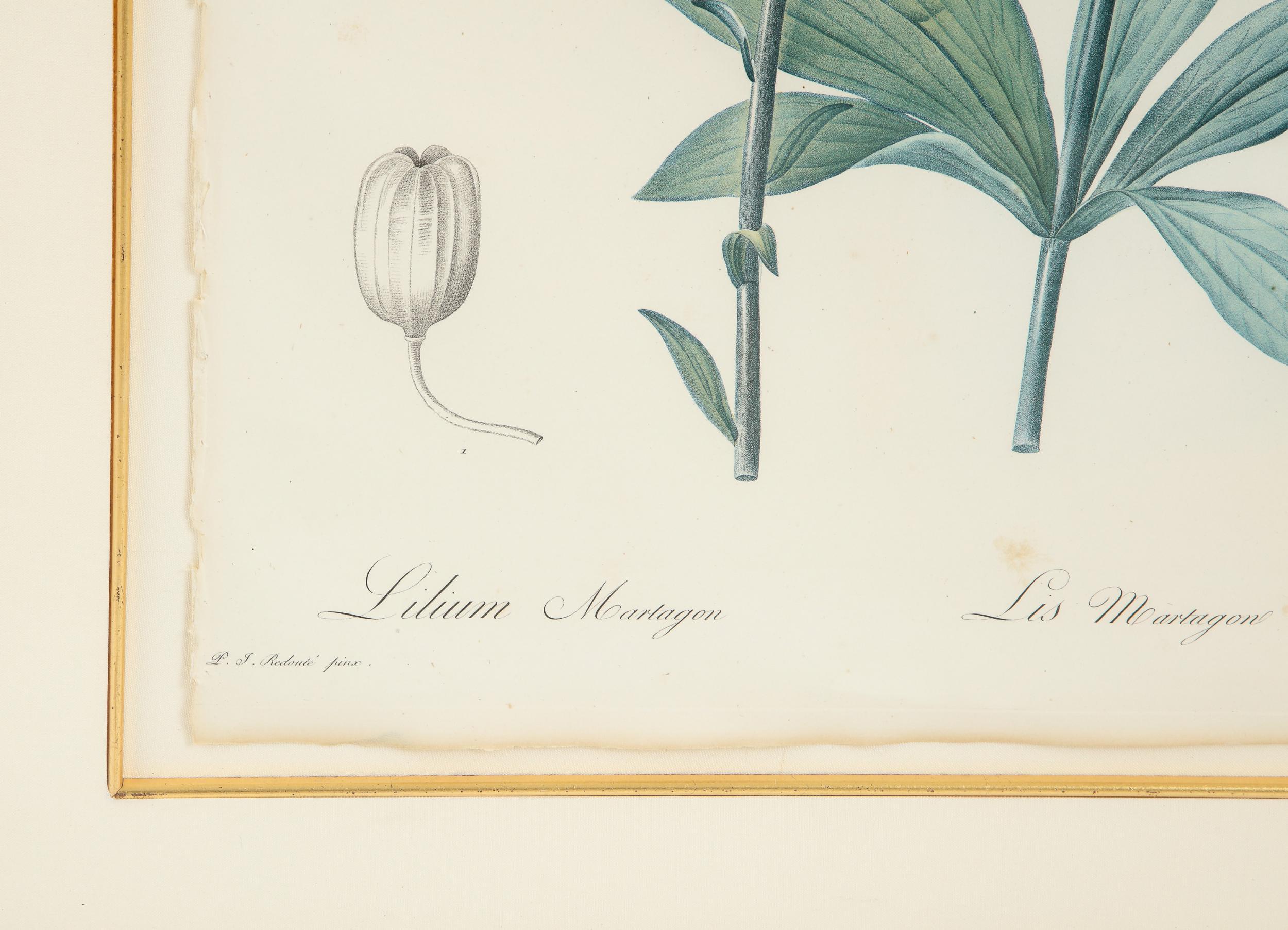 Set of Four Botanical Prints by Pierre-Joseph Redoute 6