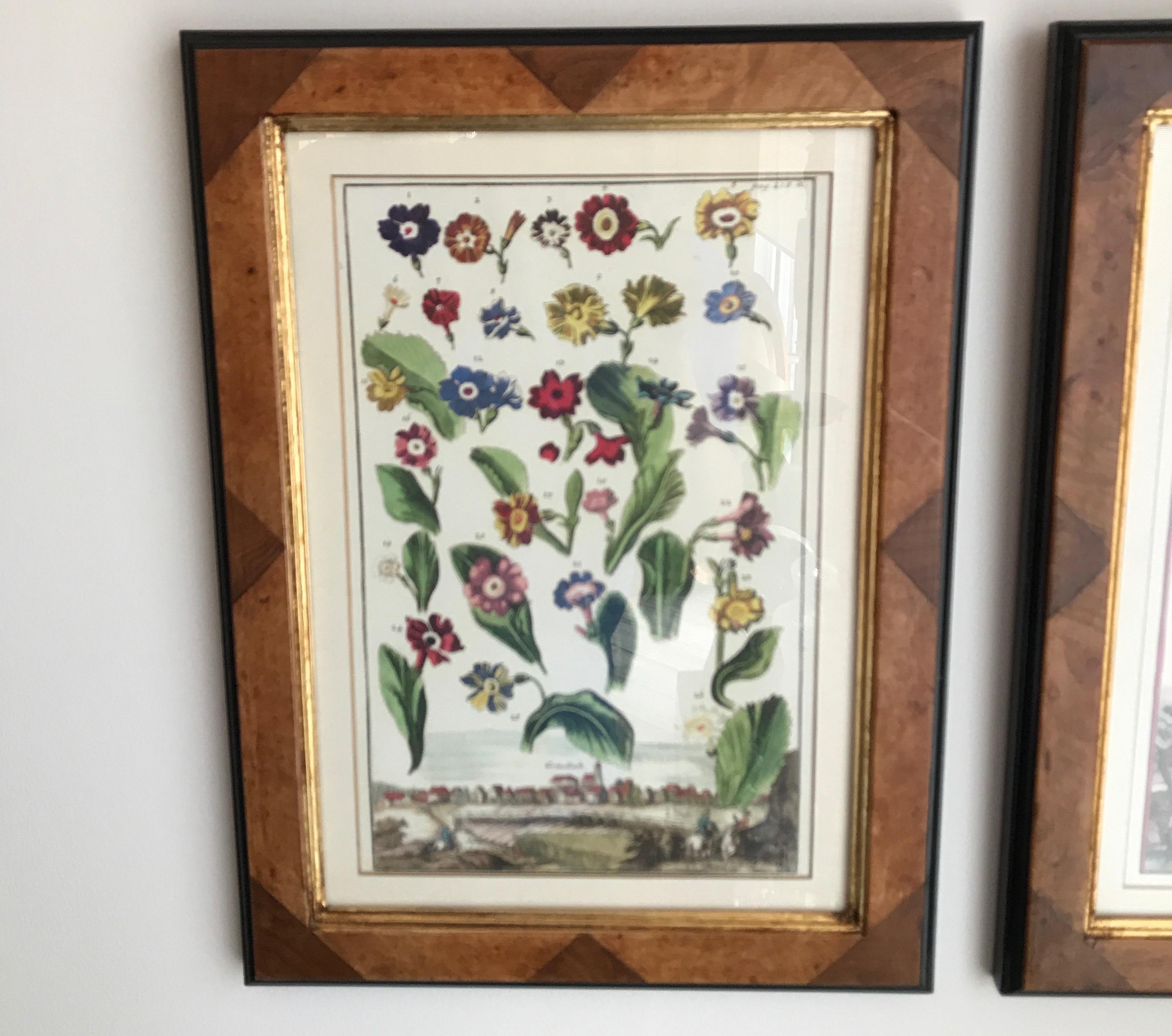 Set of four country French Botanicals framed by Trowbridge in burlwood frames.
