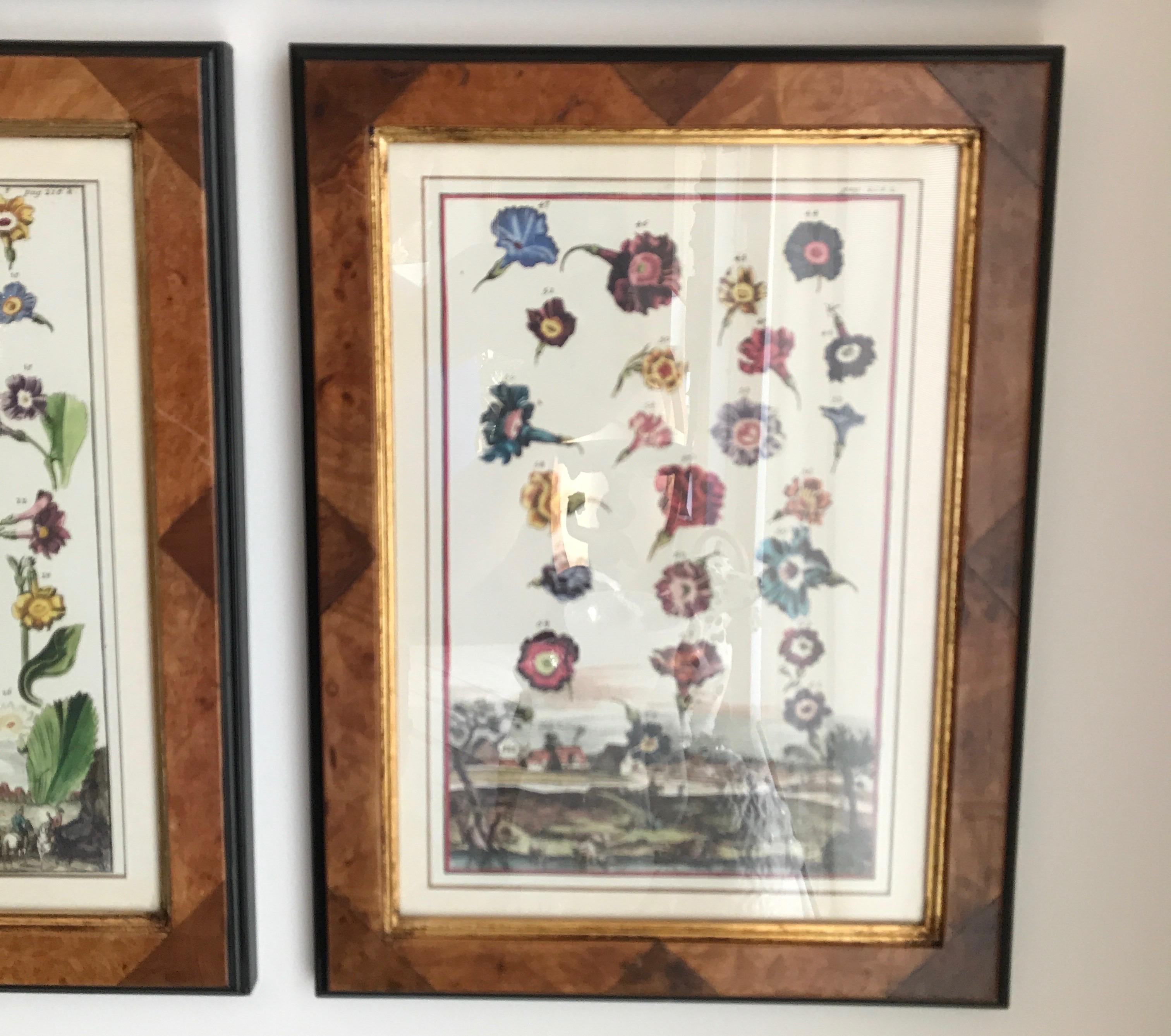 Set of Four Botanicals in Burl Wood Frames In Good Condition In West Palm Beach, FL
