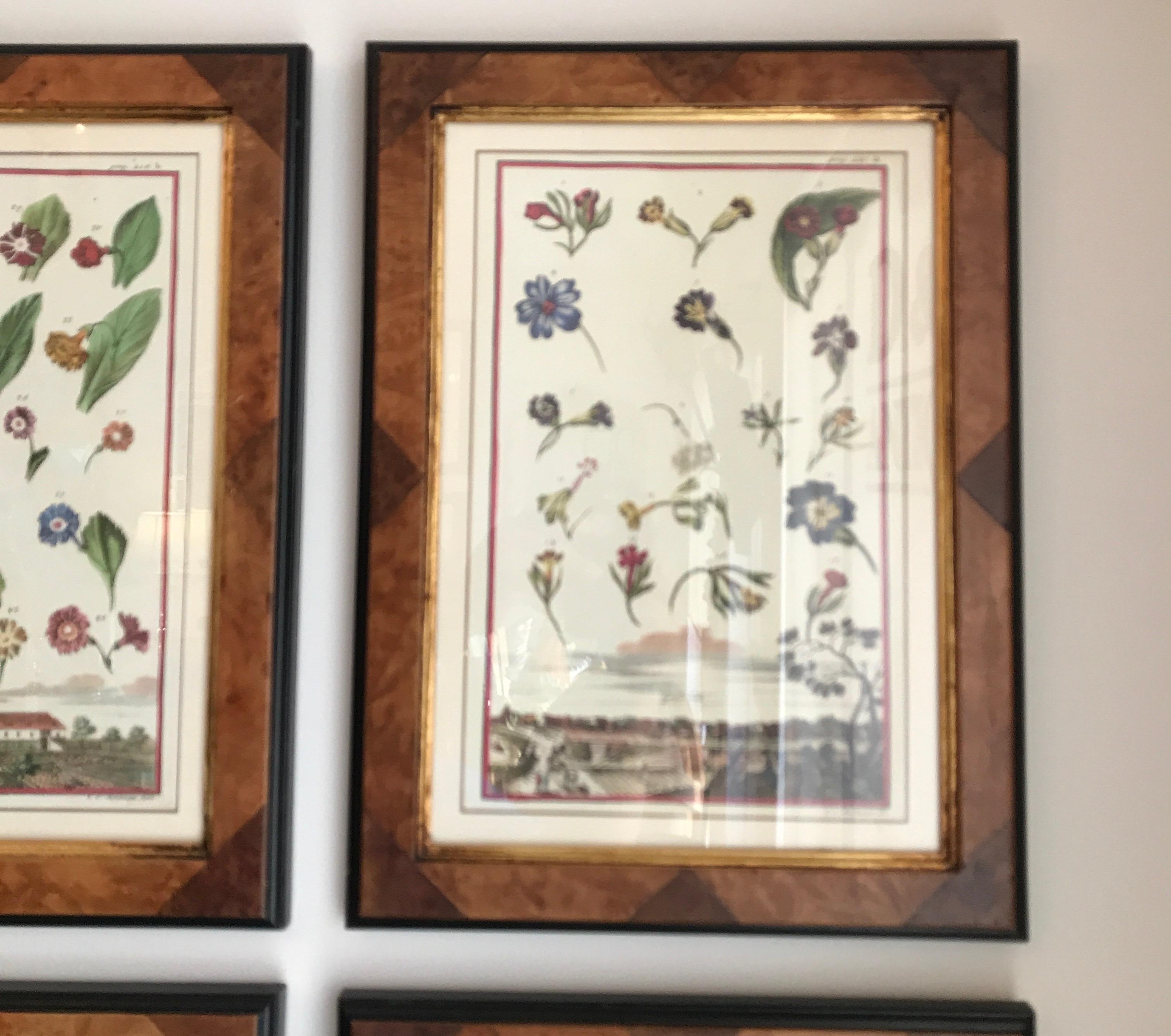 Set of Four Botanicals in Burl Wood Frames 1