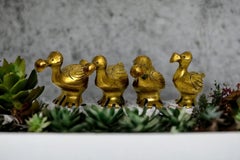 Set von vier Dodo-Vogelfiguren aus Messing, Mid-Century Modern, Mauritius, 1960er Jahre