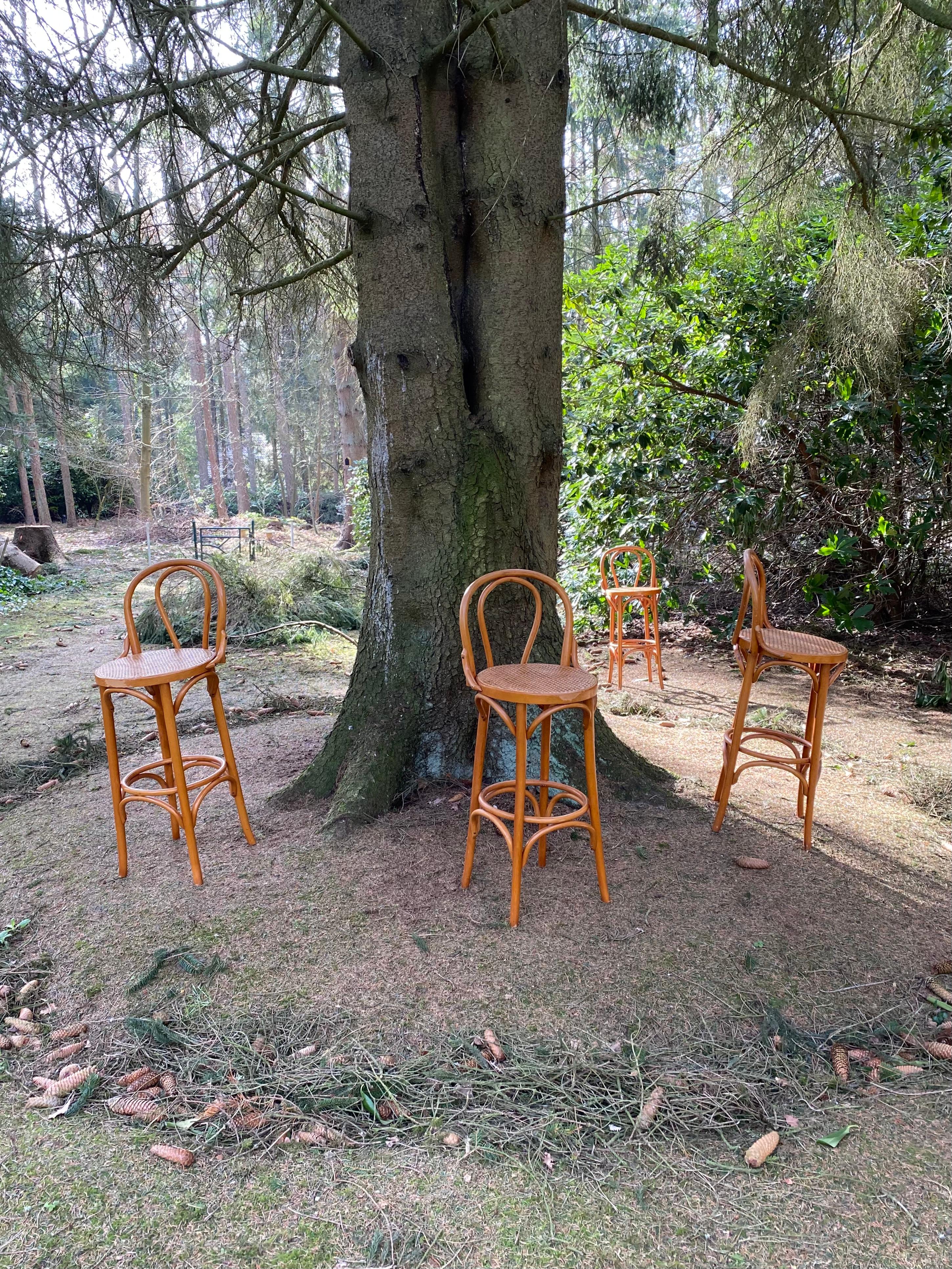 Beech Set of Four Cane and Webbing Bar Stools, Style Thonet, Ca. 1970s