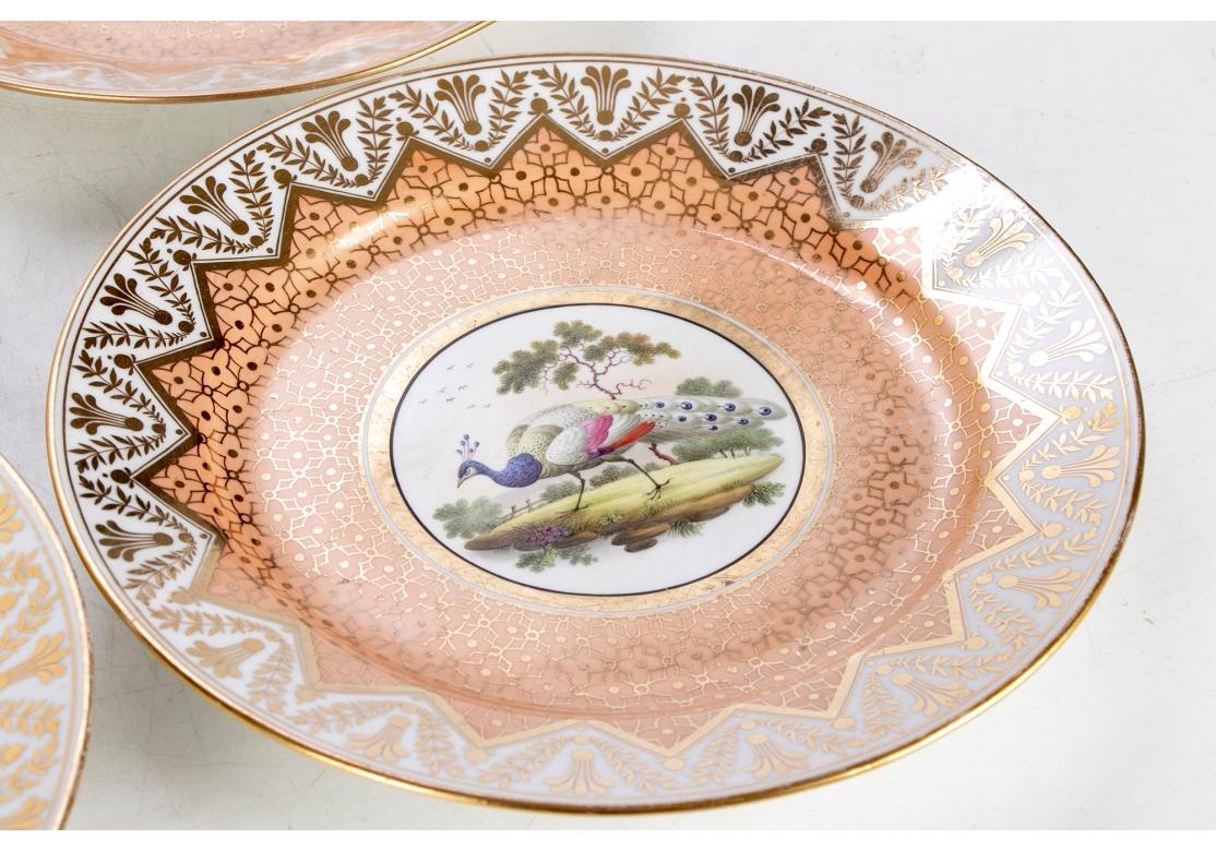 Anglais Ensemble de quatre assiettes en porcelaine de Chamberlain Worcester avec oiseaux exotiques