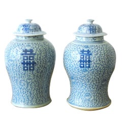 Pair of Chinese Blue and White Ginger Jar Vases