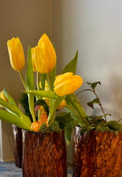 Set of Four Chinese Burl Root Wood Brush Pot Vessels, Scholar’s Desk Accessories