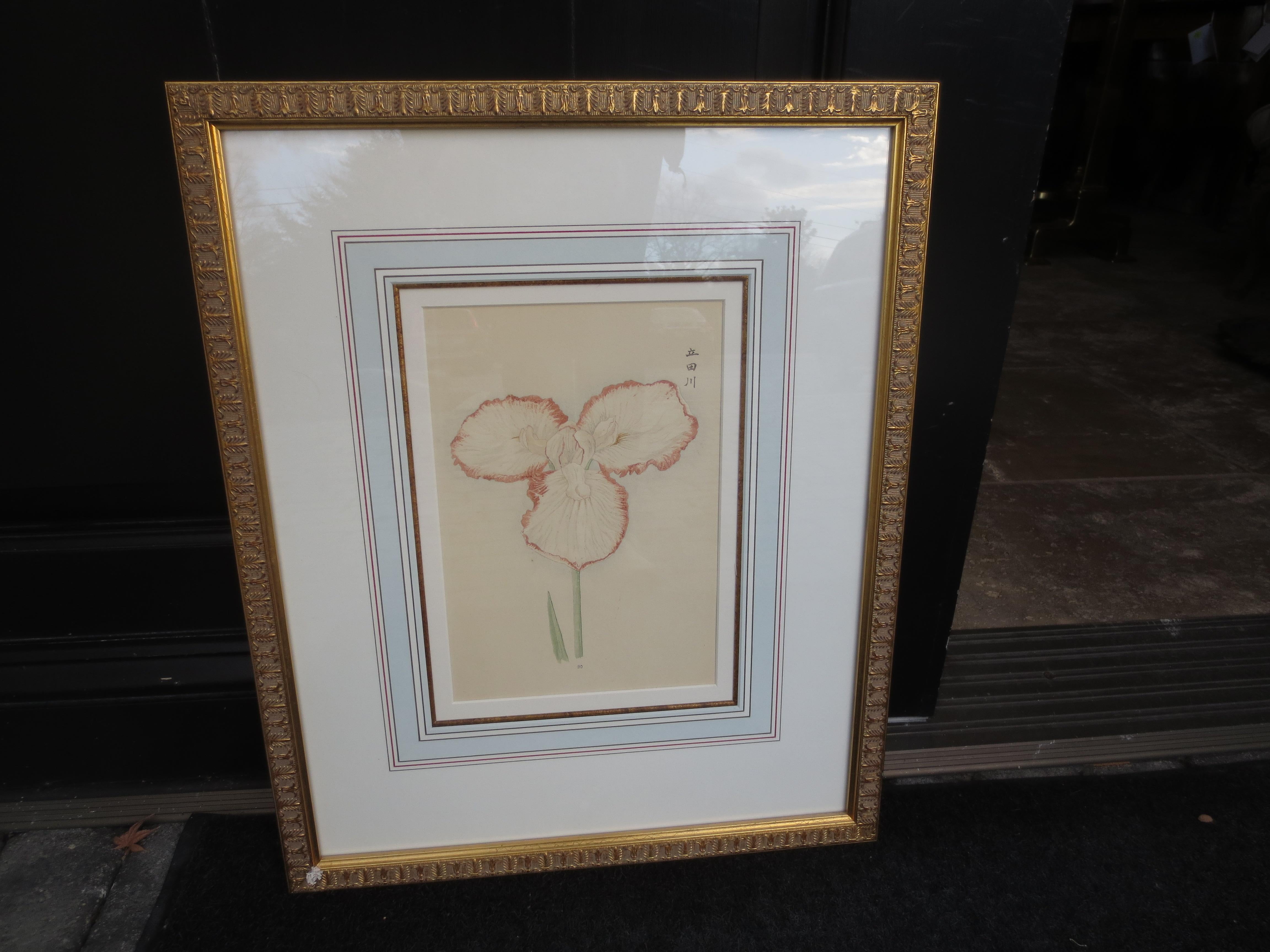 Set of four framed 19th-20th century Chinese watercolor flowers with numbered plates on English mats.