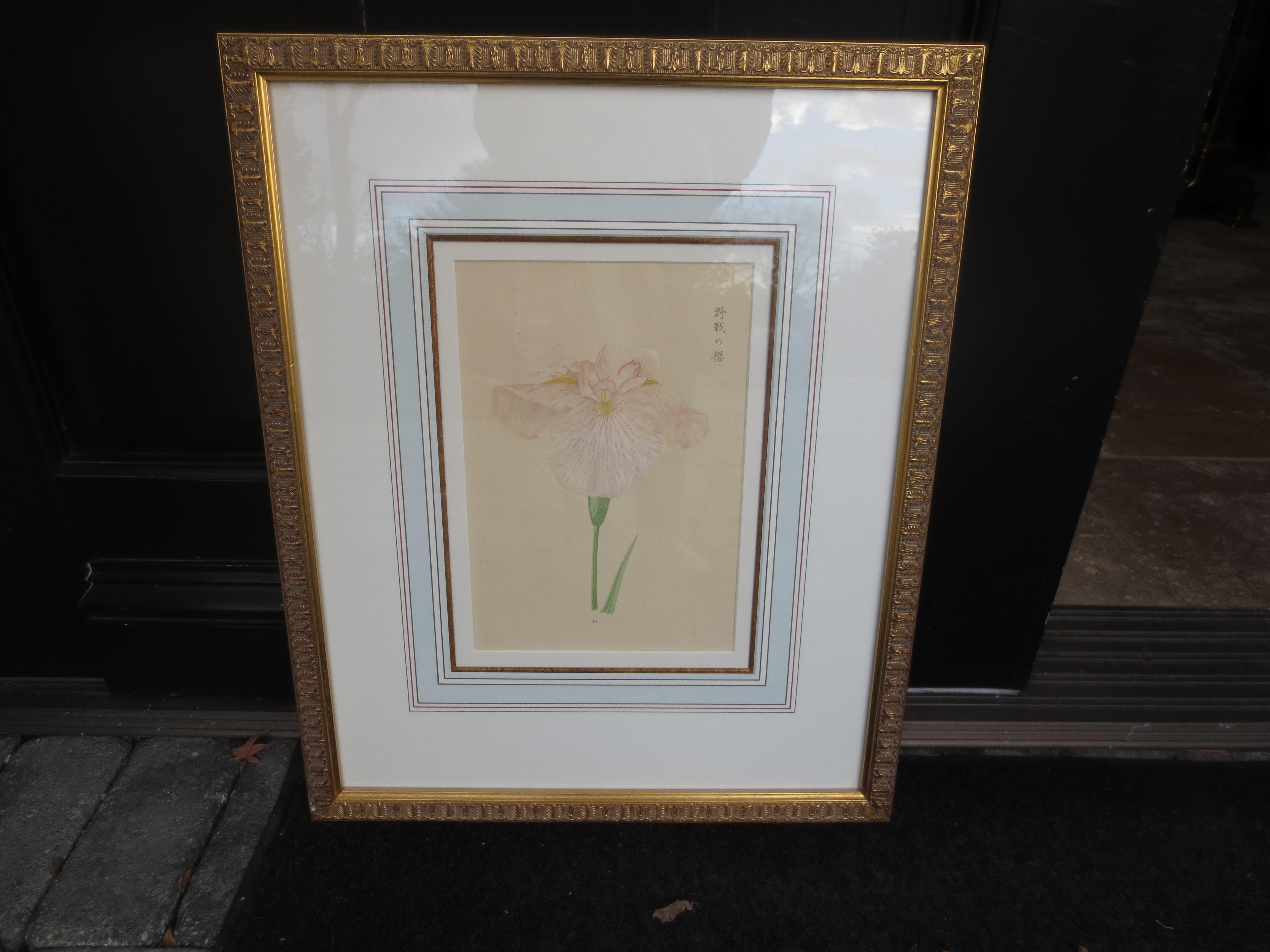 19th Century Set of Four Chinese Watercolor Flowers with Numbered Plates on English Mats For Sale