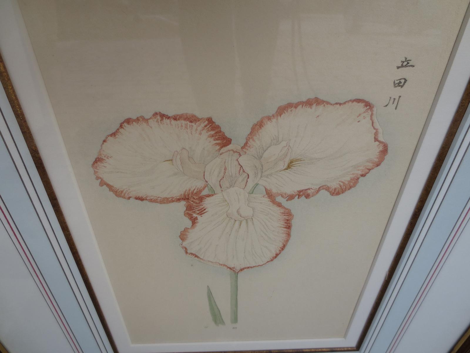 Set of Four Chinese Watercolor Flowers with Numbered Plates on English Mats For Sale 1