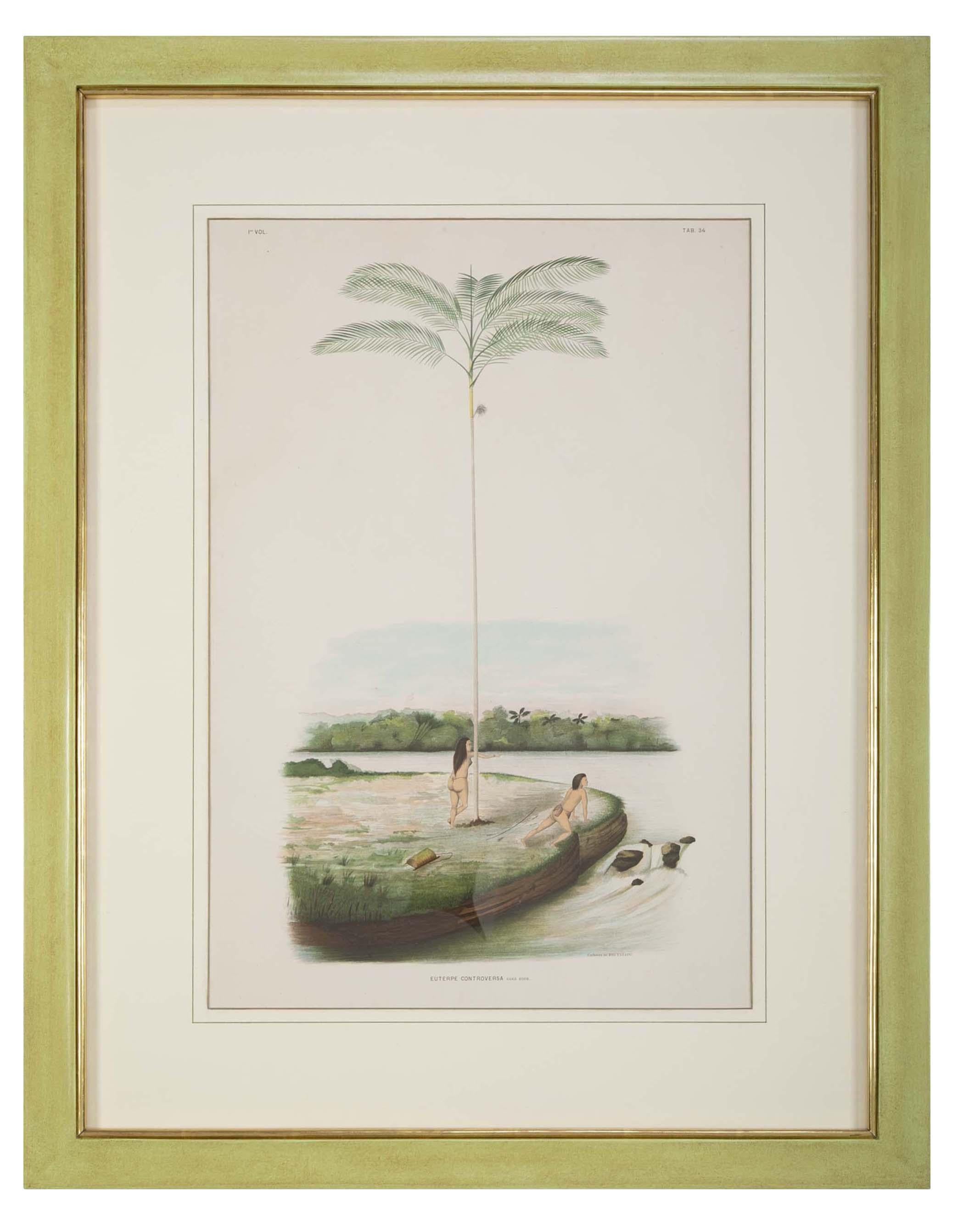 A set of four chromolithographs of Brazilian palms and natives with palms by Joao Barbosa Rodrigues.
Handmade unique frames with gold fillets.

Can be sold separately for $ 2,500 each.