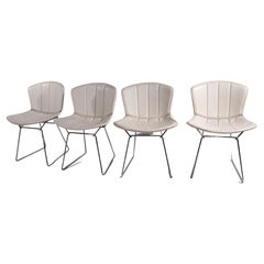 Set of Four Chrome Dining Chairs by Bertoia for Knoll