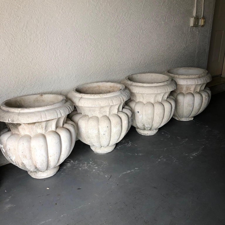 Wonderful set of 4 cast stone bulbous gadrooned garden urns each standing on its original extended socle and drilled for proper water drainage. Classic exterior, landscape and garden ornaments. 
#5218

Note: Will split set into pairs.
 