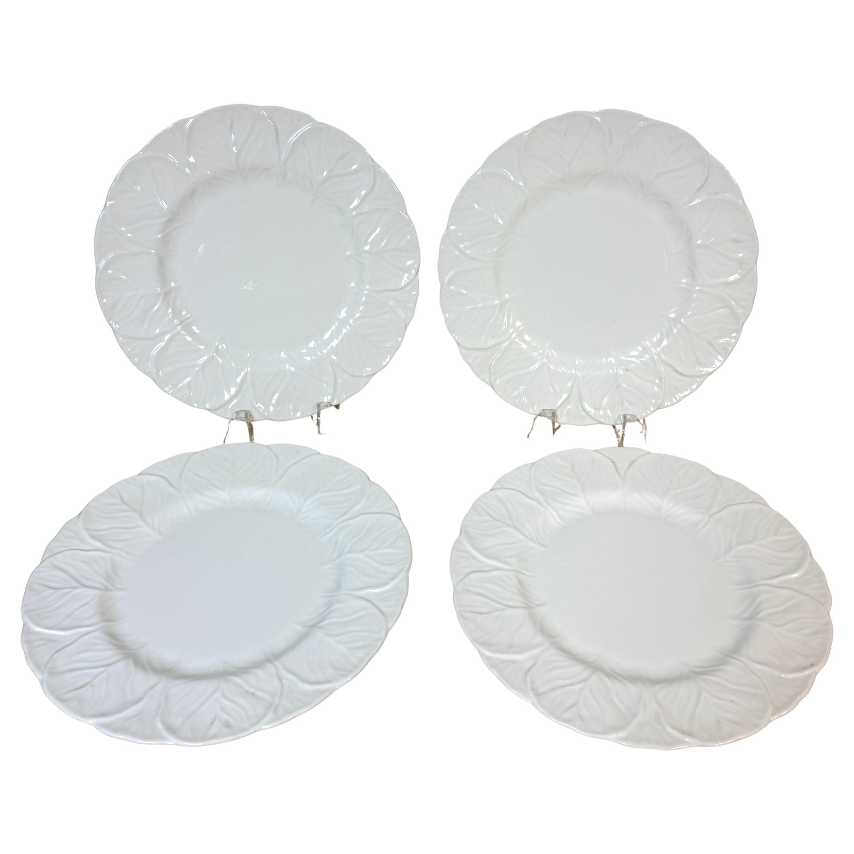 Coalport Porcelain Dinner Plates