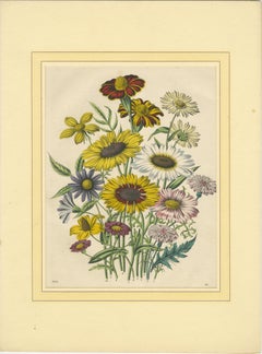 Set of Four Colorful Botanical Flower Prints from Book of Worlds, circa 1850