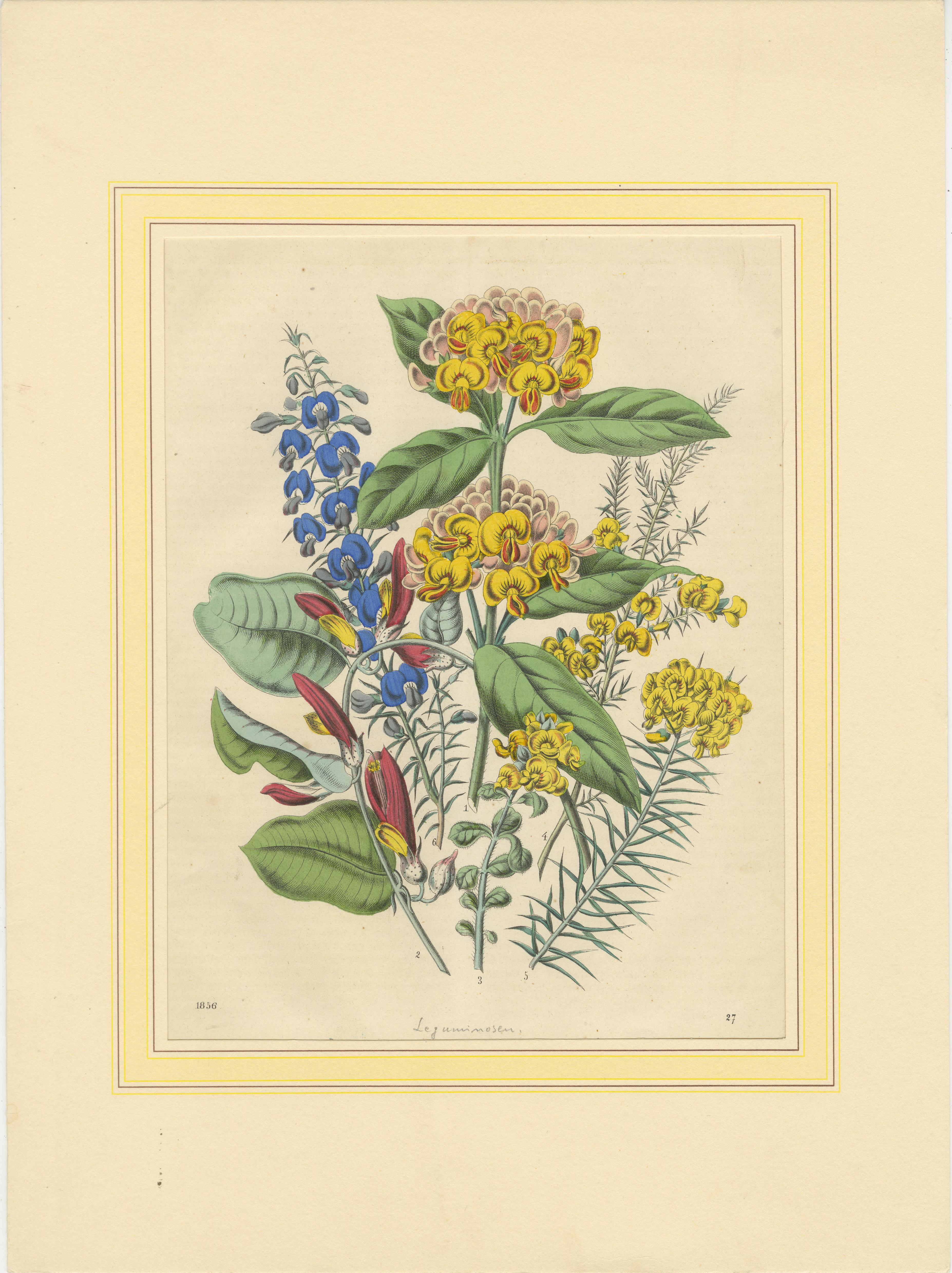 Satz von vier farbenfrohen botanischen Blumendrucken aus dem Buch der Welten, um 1850 im Angebot 1