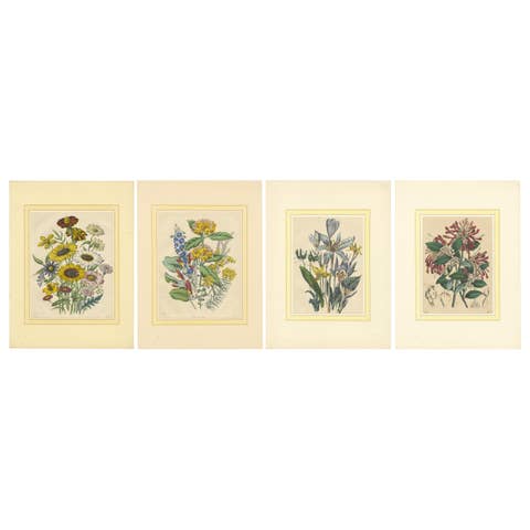 Set of Four Colorful Botanical Flower Prints from Book of Worlds, circa 1850