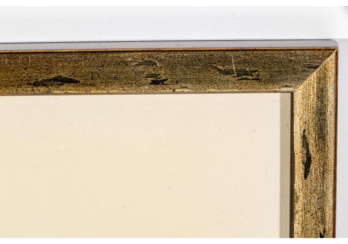 Satz von vier bunten tropischen Fischen Drucke nach William Belankse im Angebot 5