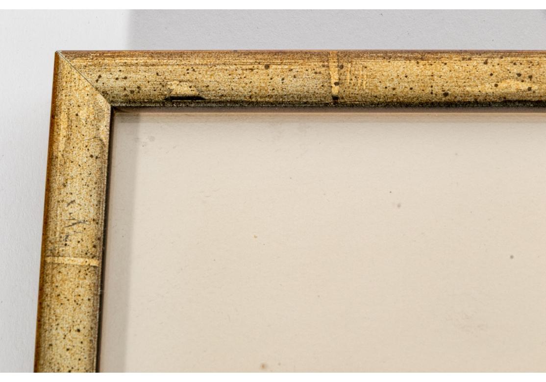 Satz von vier bunten tropischen Fischen Drucke nach William Belankse (Schoolhouse) im Angebot