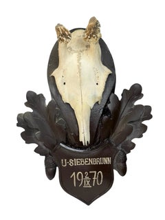 Set of four Deer Antler Trophy on Oak Leaf Plaque, Austria 1970s and Earlier