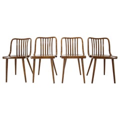 Ensemble de quatre chaises de salle à manger design Antonin Suman, Tchécoslovaquie, années 1960