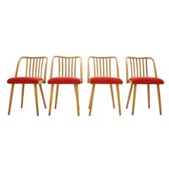 Set of Four Dining Chairs or Antonín Šuman, 1960s