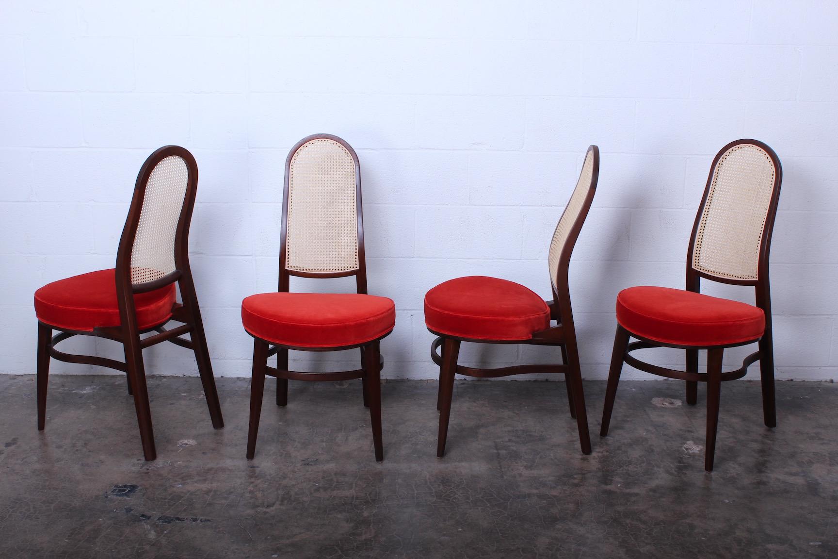 A rare set of four cane back dining chairs with mahogany frames. Designed by Edward Wormley for Dunbar. Beautifully restored.