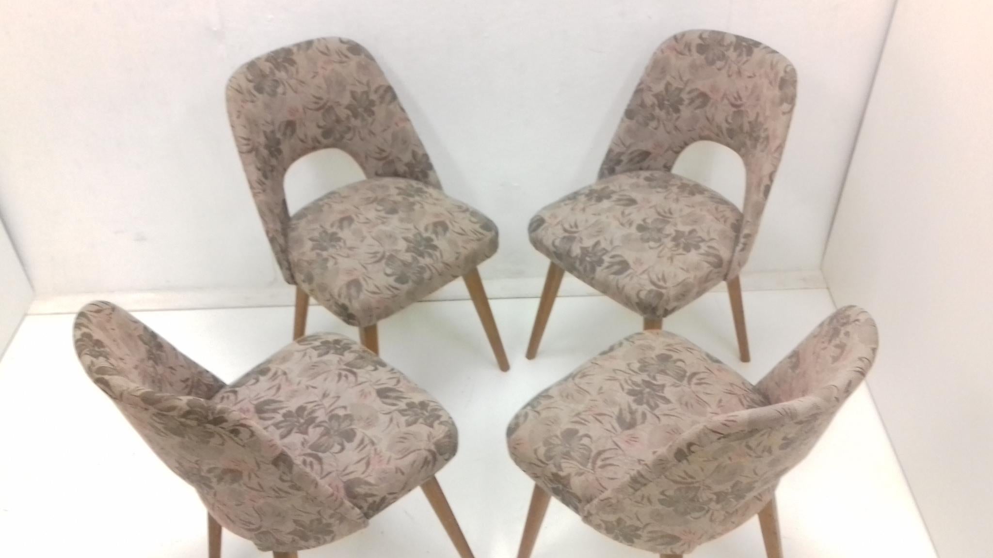 Ensemble de quatre chaises de salle à manger conçues par Oswald Haerdtl, années 1950 Bon état - En vente à Praha, CZ