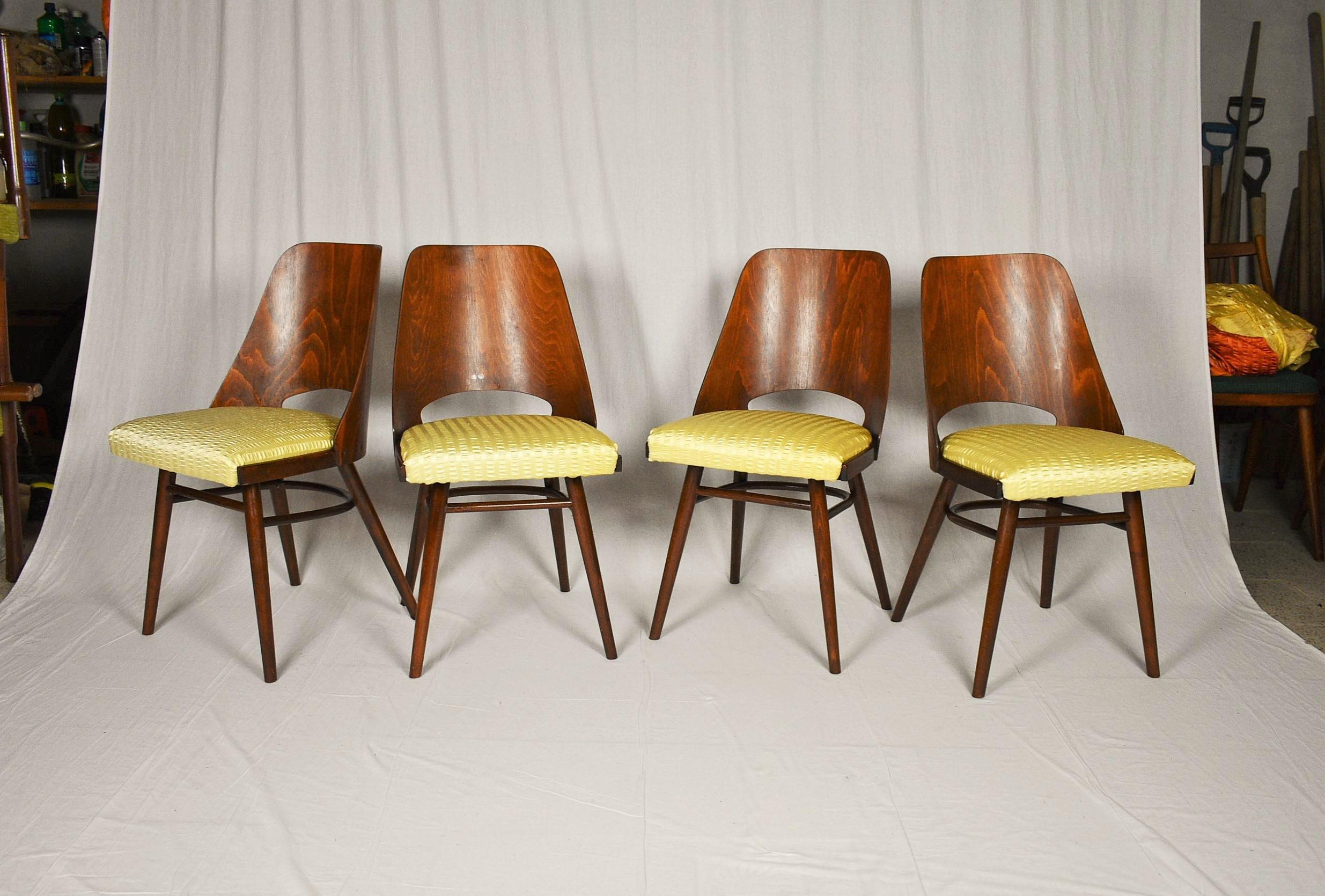 Set of Four Dining Chairs, Ton, Designed by Oswald Haerdtl, 1950s, Expo 58 In Good Condition For Sale In Praha, CZ