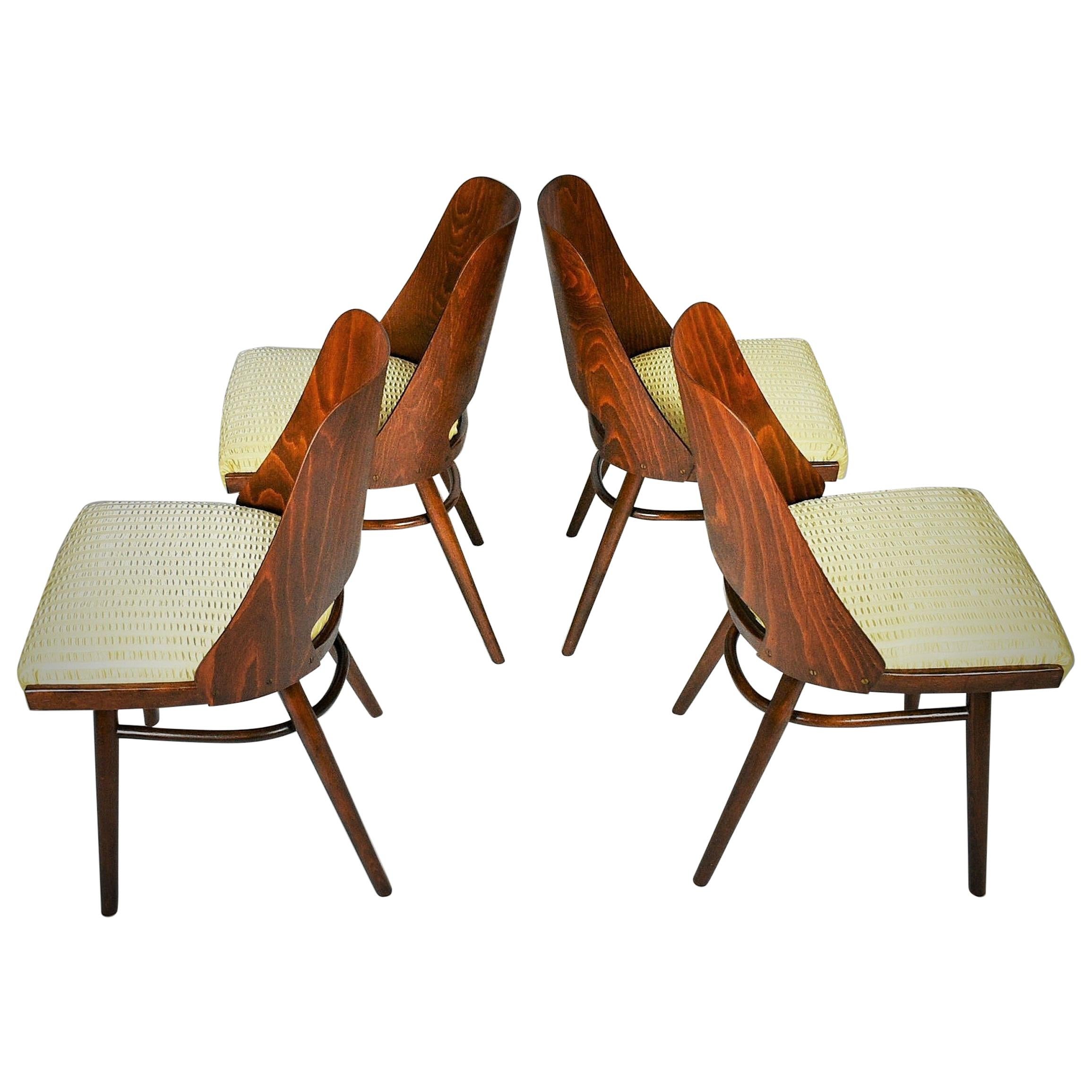 Ensemble de quatre chaises de salle à manger, Ton, conçues par Oswald Haerdtl, années 1950, Expo 58