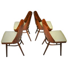 Set di quattro sedie da pranzo, Ton, disegnate da Oswald Haerdtl, anni '50, Expo 58
