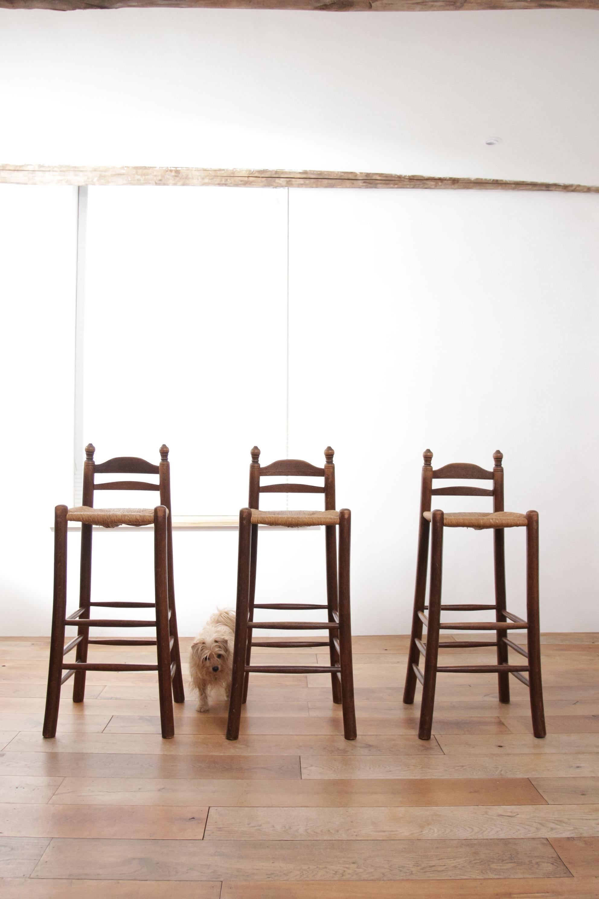 Set of Four Dutch Oak Barstools with Rush Seats 7