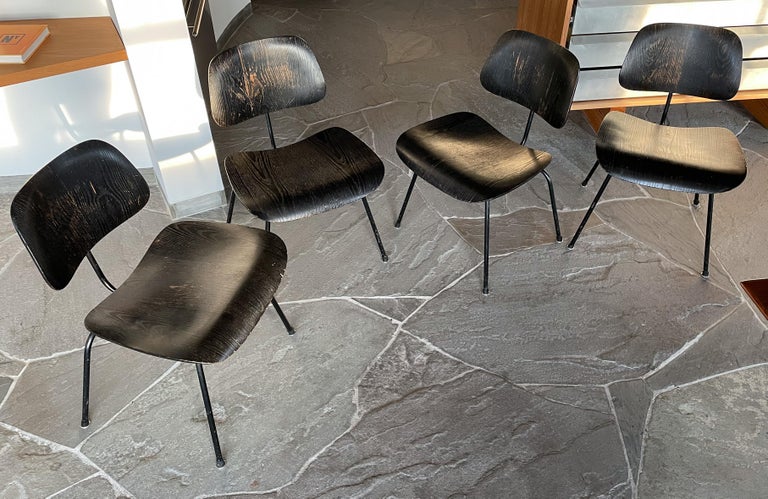 Set of four DCMs in blackened plywood with black chromed metal bases and angled boot glides. Designed by Charles and Ray Eames and produced by Herman Miller, circa 1950's.