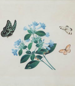 Set of Four Early 19th Century Chinese Watercolour Paintings