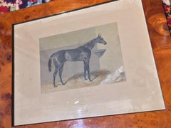 Set of Four 19th Century English Prints Walnut Root Frame