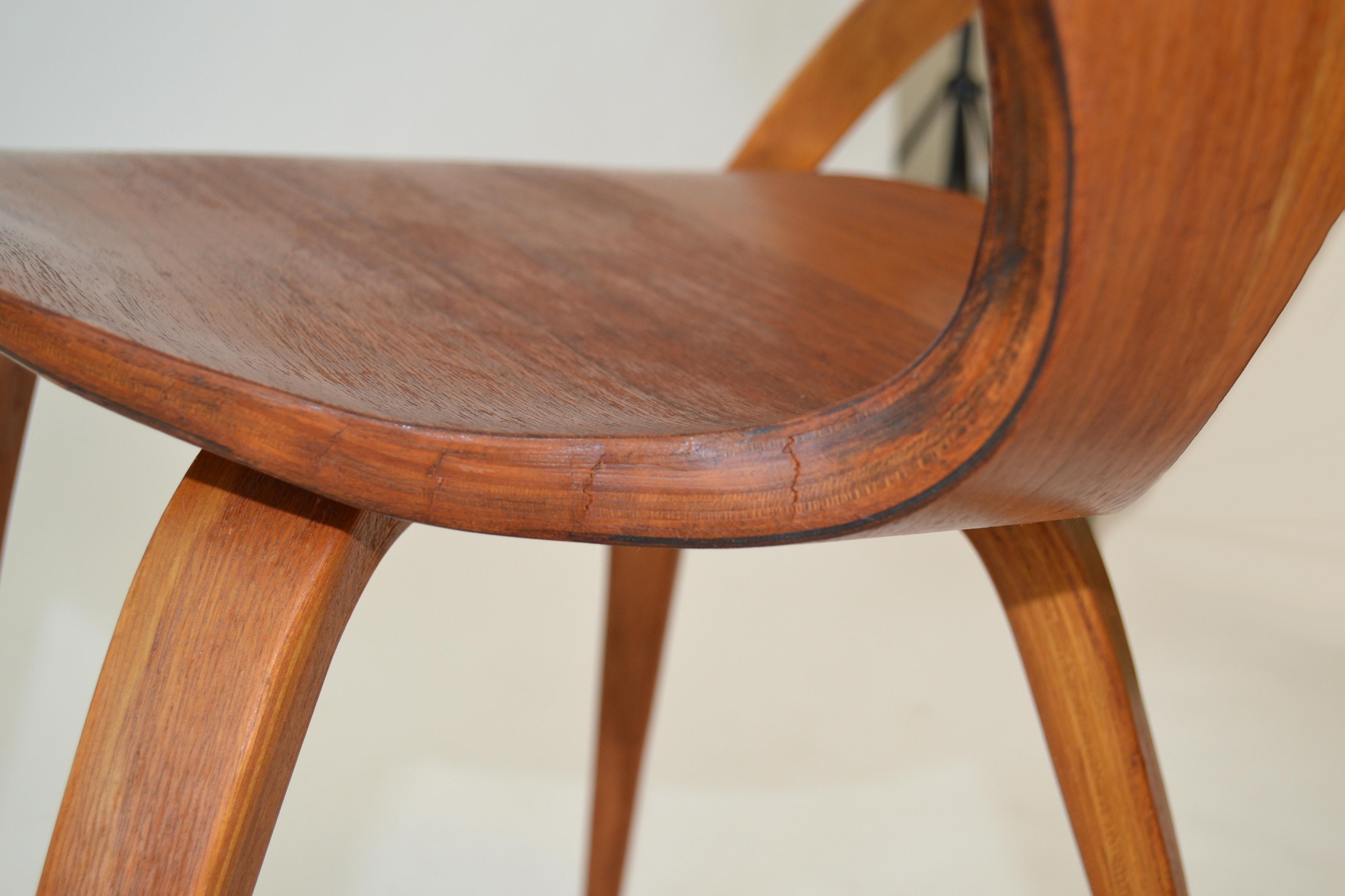 Set of Four Early Pretzel Chairs by Norman Cherner 'Bernardo' for Plycraft, USA For Sale 5