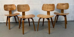 Set of Four Elegant Bentwood Chairs by Bruno Weil for Thonet