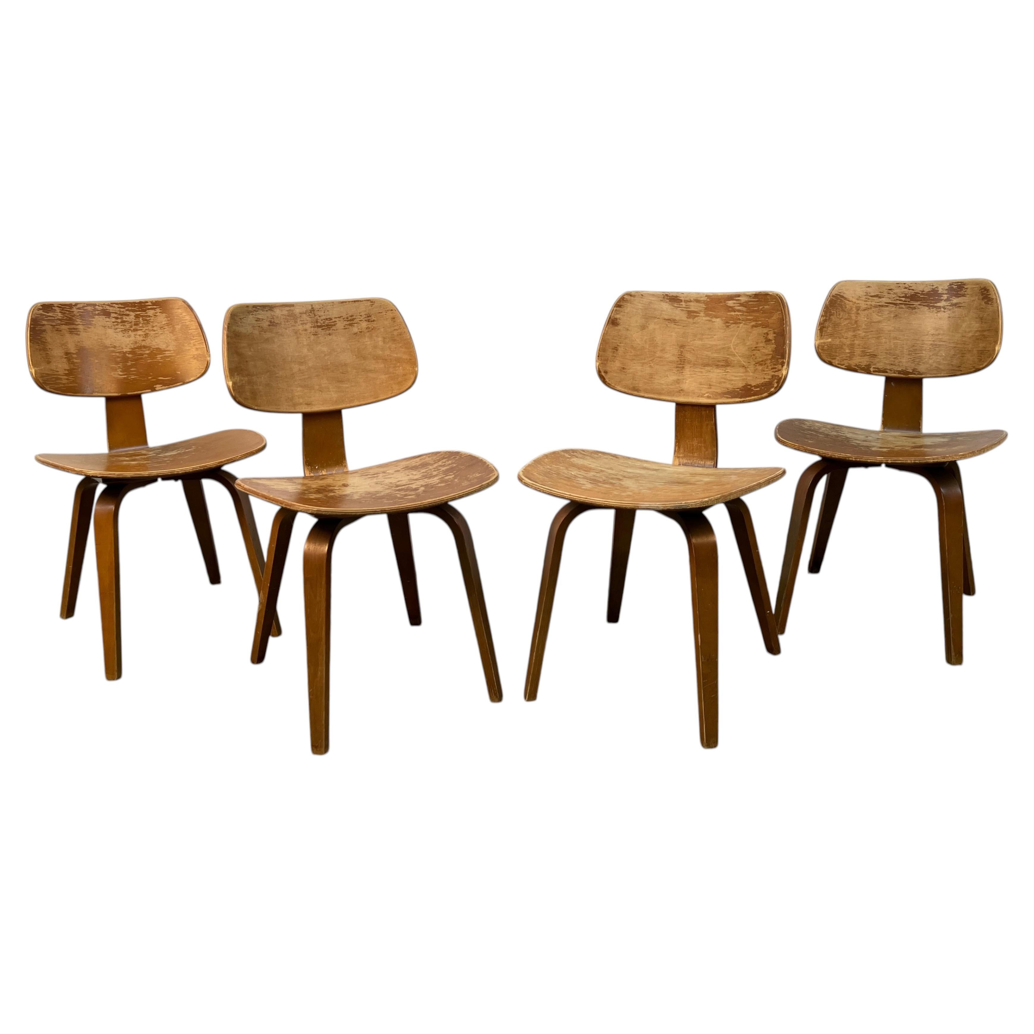 Ensemble de quatre chaises élégantes en bois courbé par Bruno Weil pour Thonet