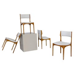 Set of four Elisabetta chairs by Giuseppe Gibelli for Sormani, Italy 1963