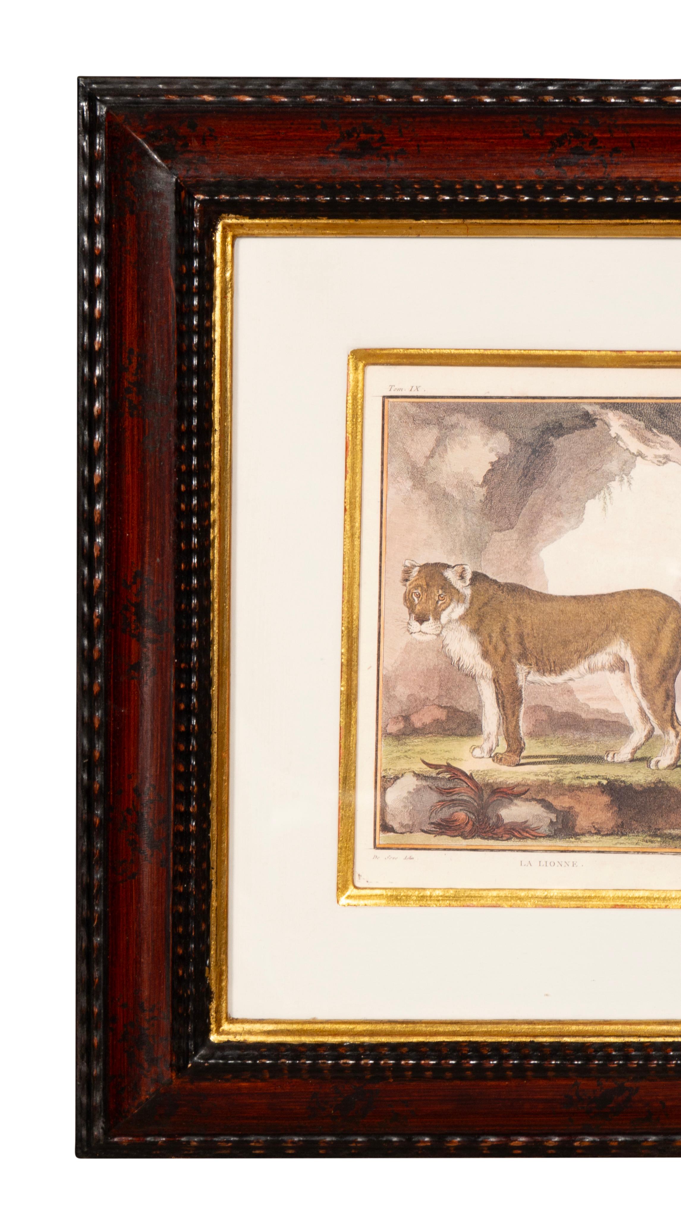 Conjunto De Cuatro Grabados De Animales Africanos en venta 3