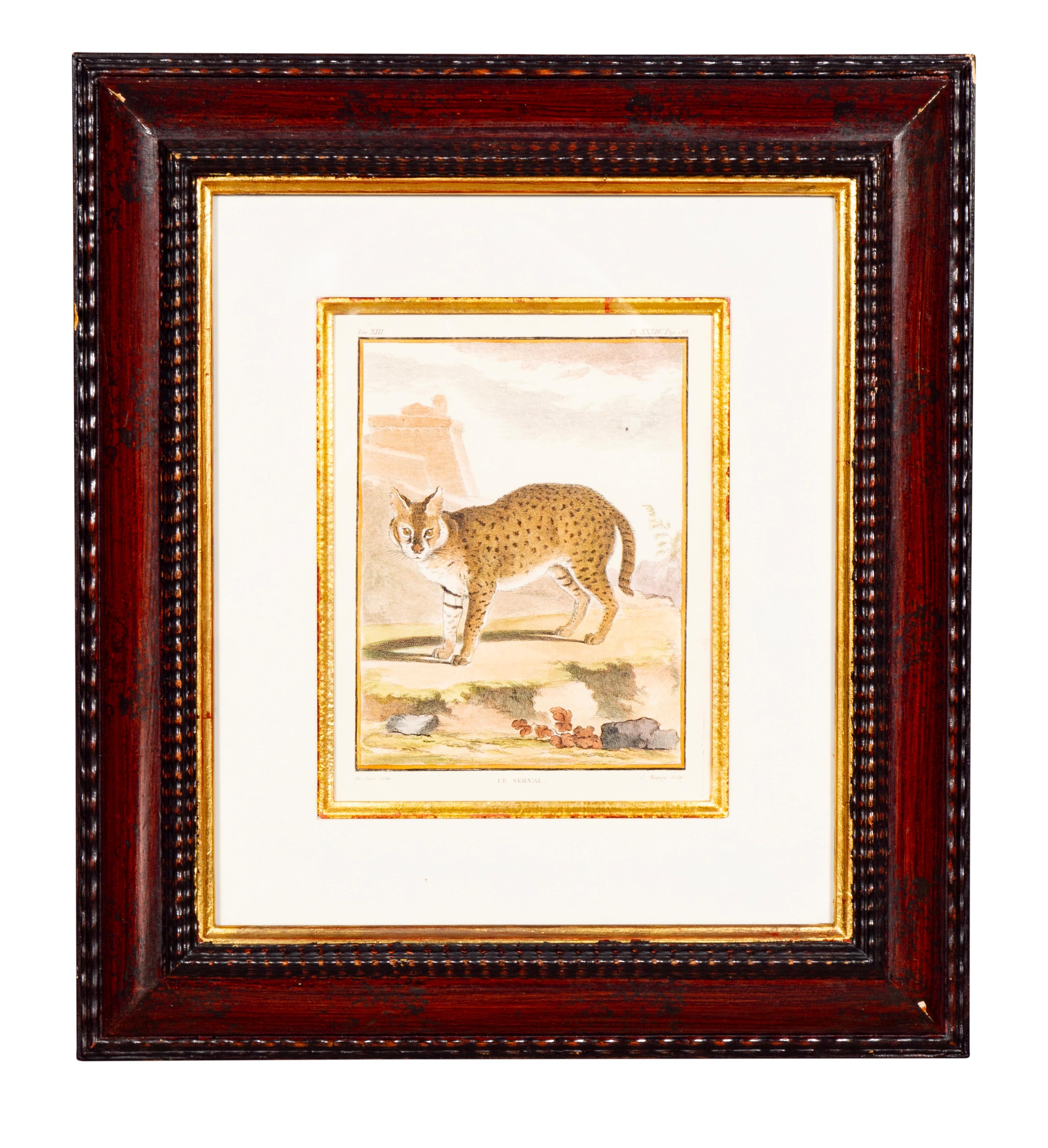 Conjunto De Cuatro Grabados De Animales Africanos Pintado en venta