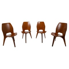 Set of Four Eugenio Gerli and Osvaldo Borsani Chairs for Tecno, Italy 1950s