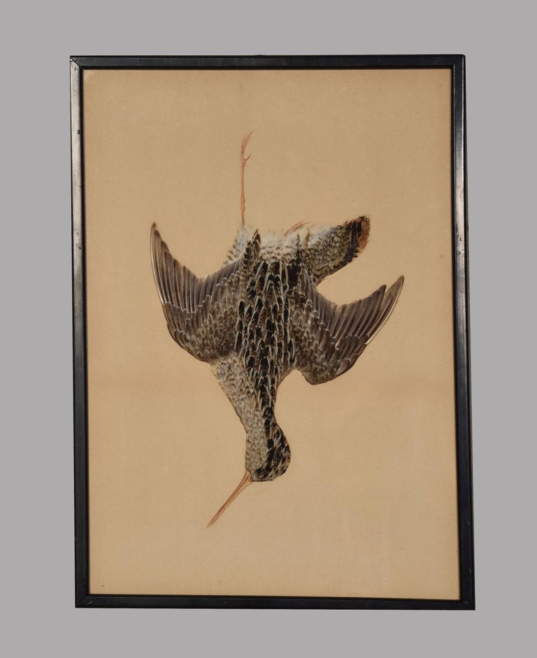 Set of Four Feather Pictures of Hanging Game Birds For Sale at 1stdibs