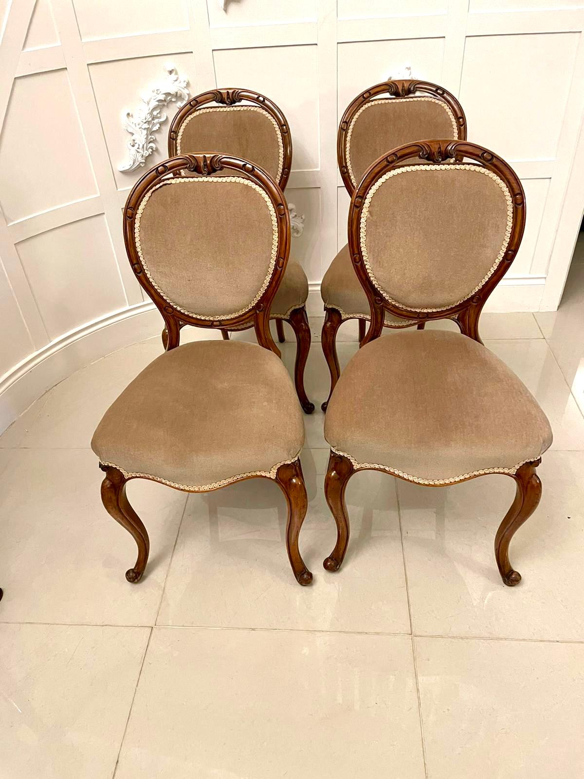 Set of four fine quality antique Victorian walnut balloon back dining chairs having a balloon back with carved and pierced tops, newly reupholstered backs and seats standing on shaped cabriole legs with scroll feet to the front and out swept back