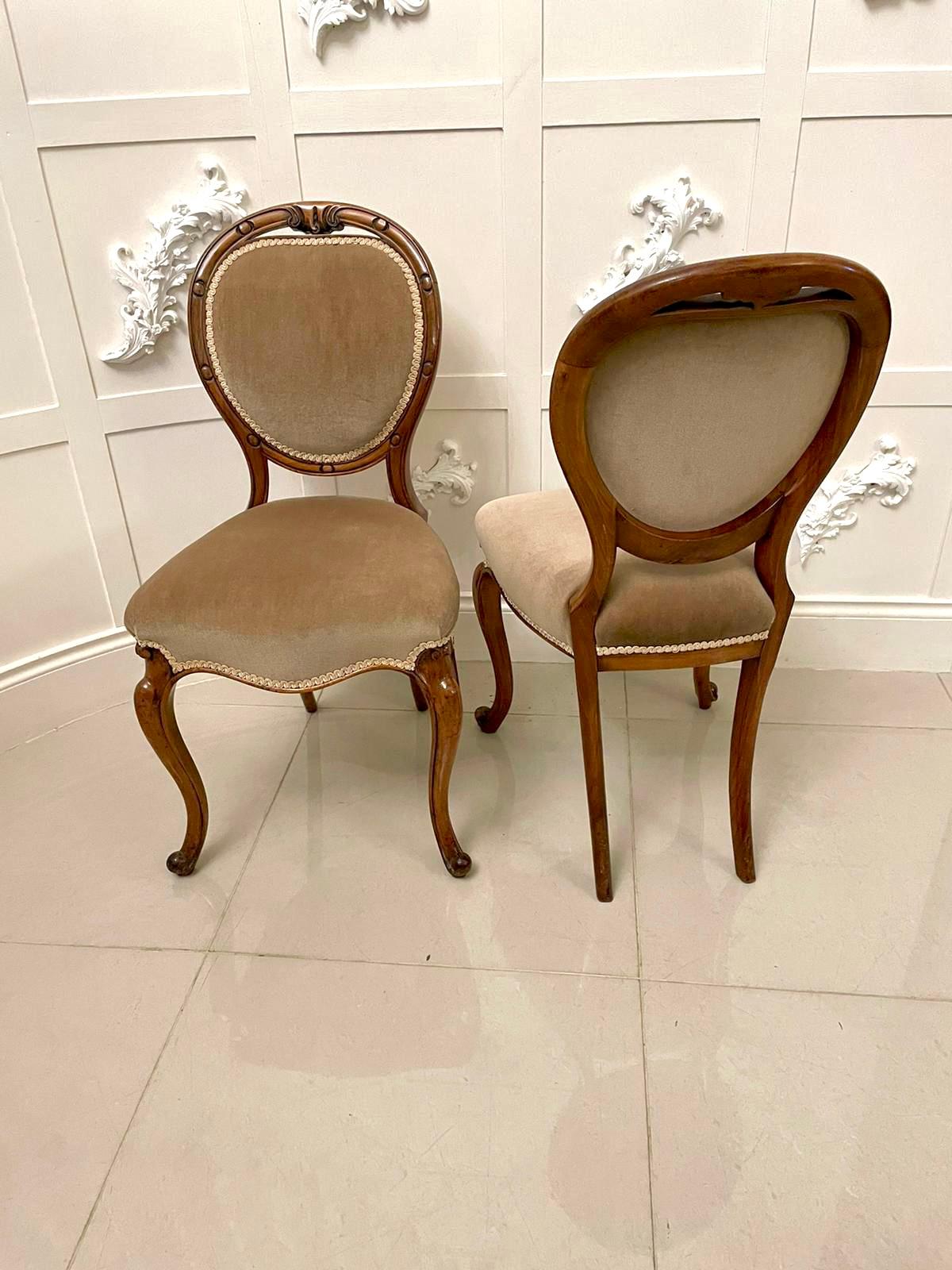 antique victorian dining chairs